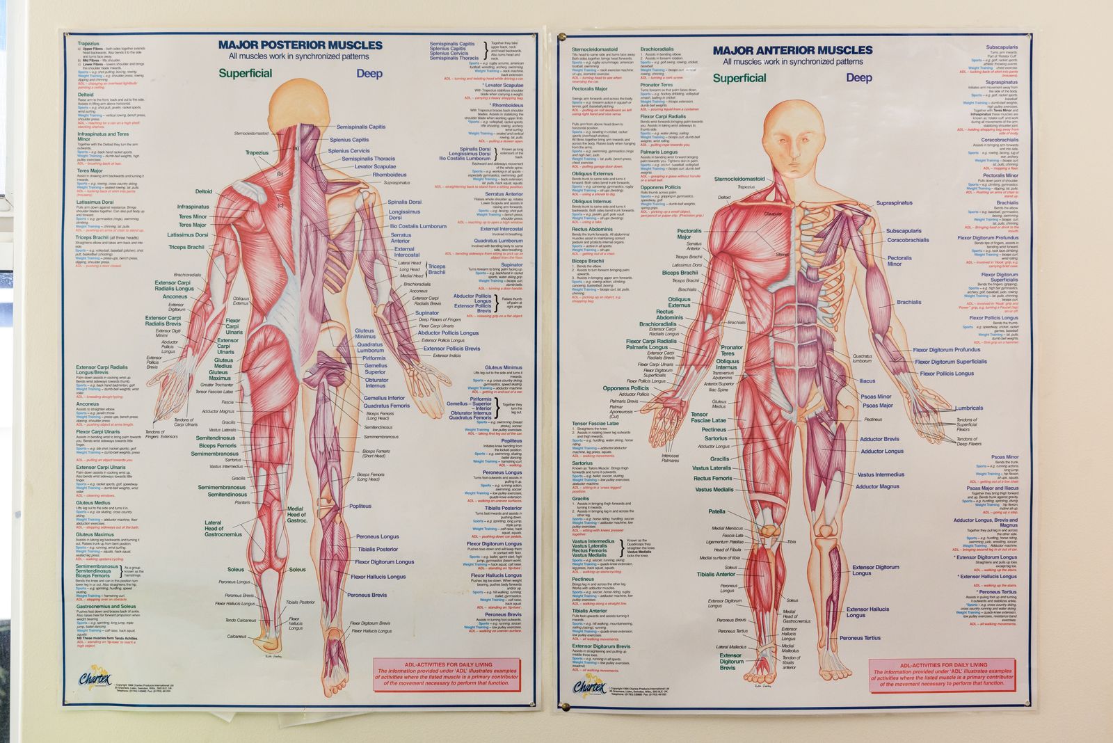 AA Telek Massage Clinic - Mt Pleasant image 3