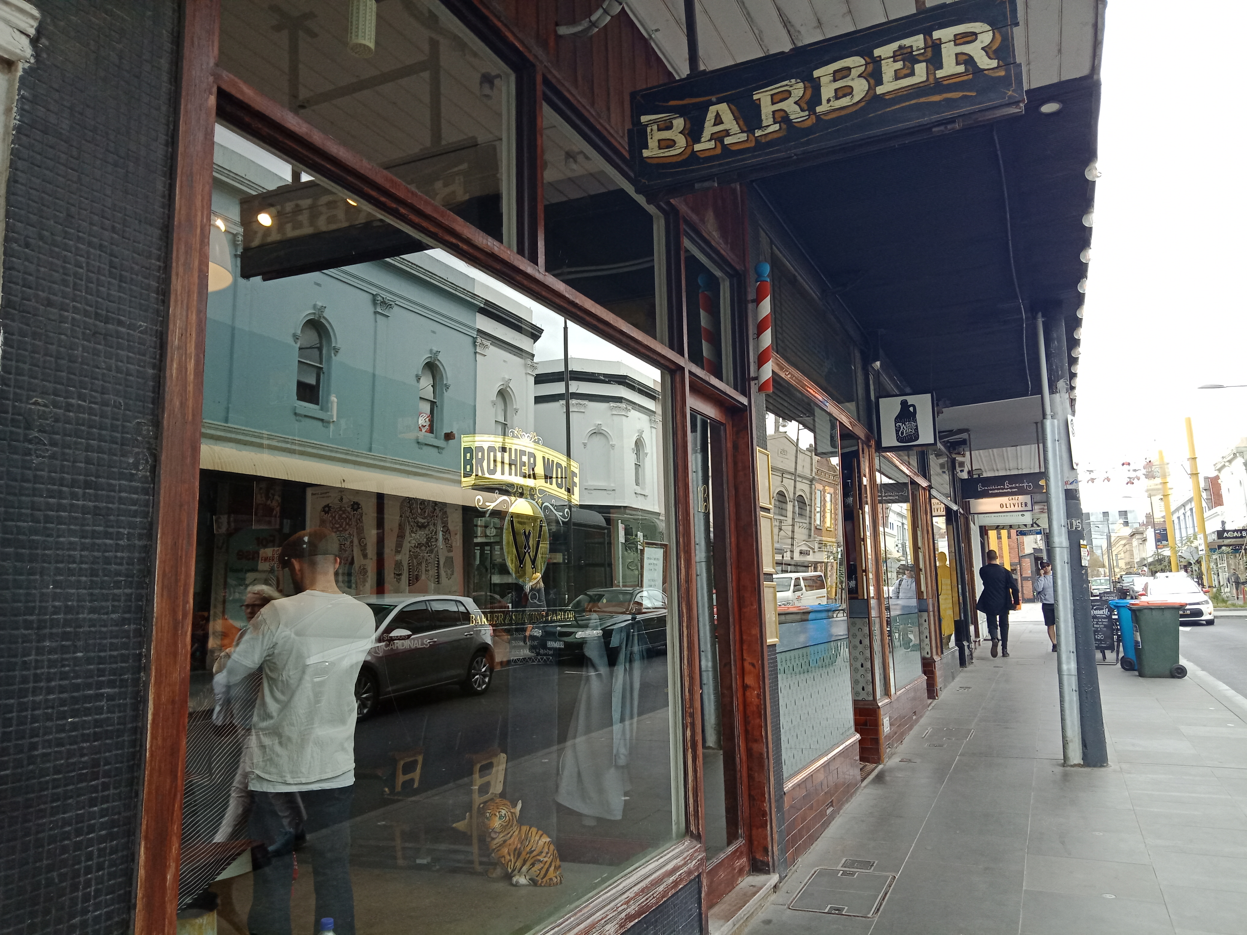 Brother Wolf image 3