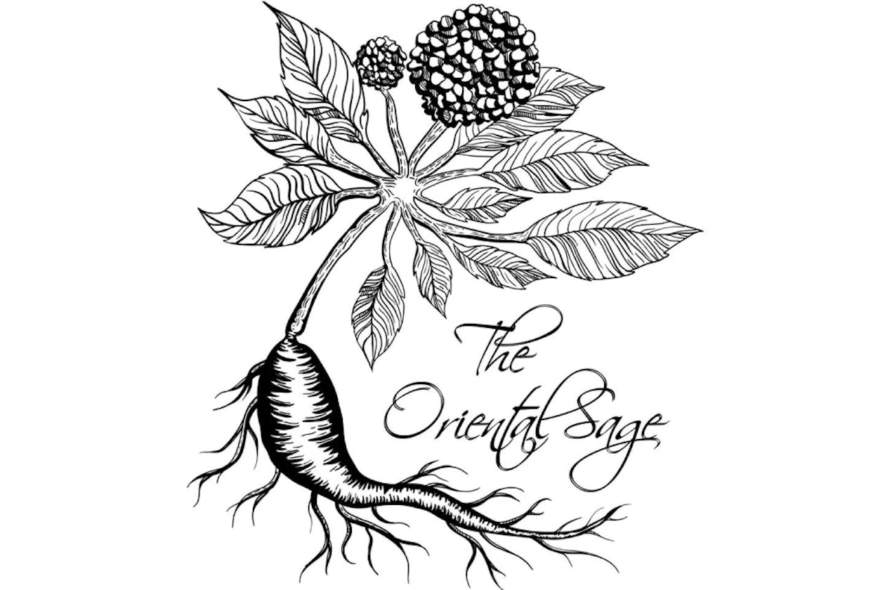 The Oriental Sage image 1