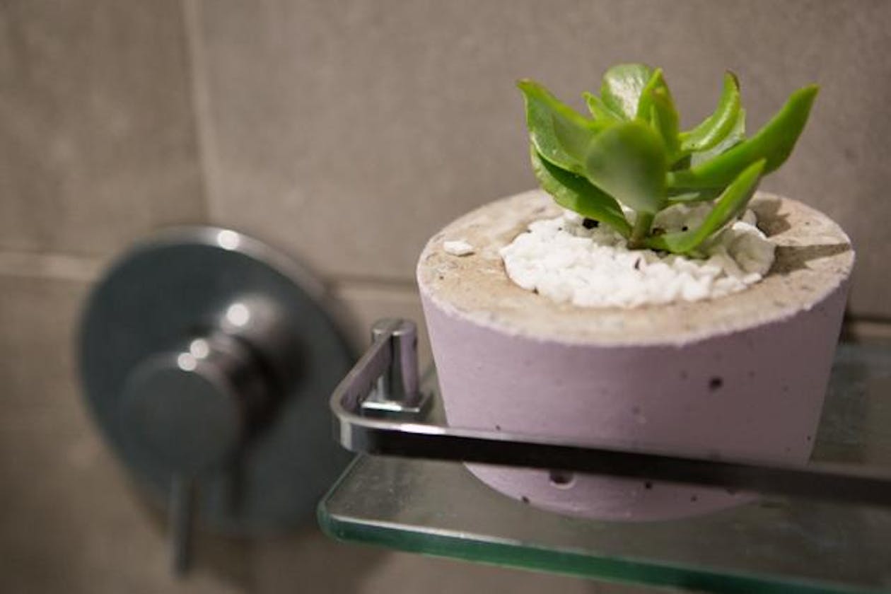 Sense of Thai - Port Melbourne image 15