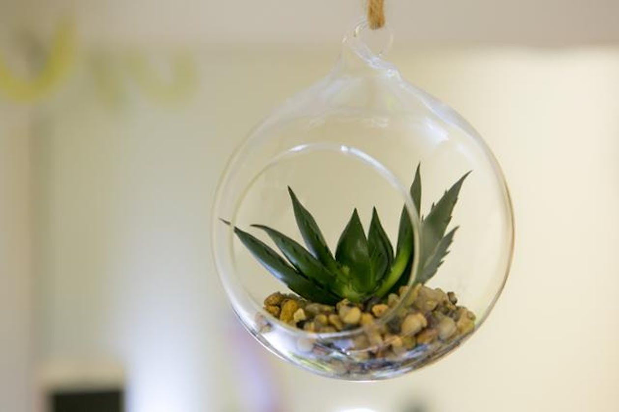 Bella Donna Hair Studio image 12