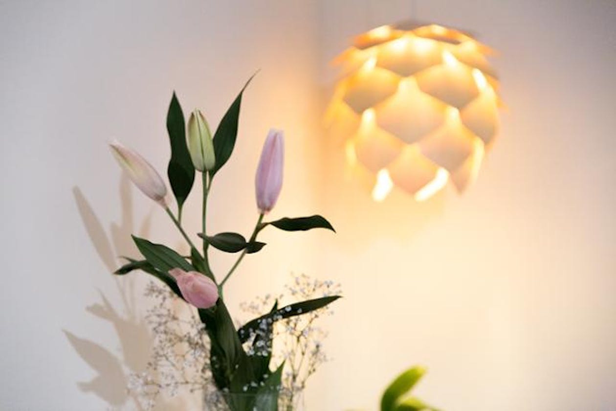 Sense of Thai - Richmond image 12