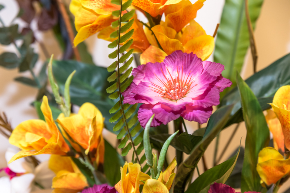 Chang Sabai Thai Massage & Spa image 2