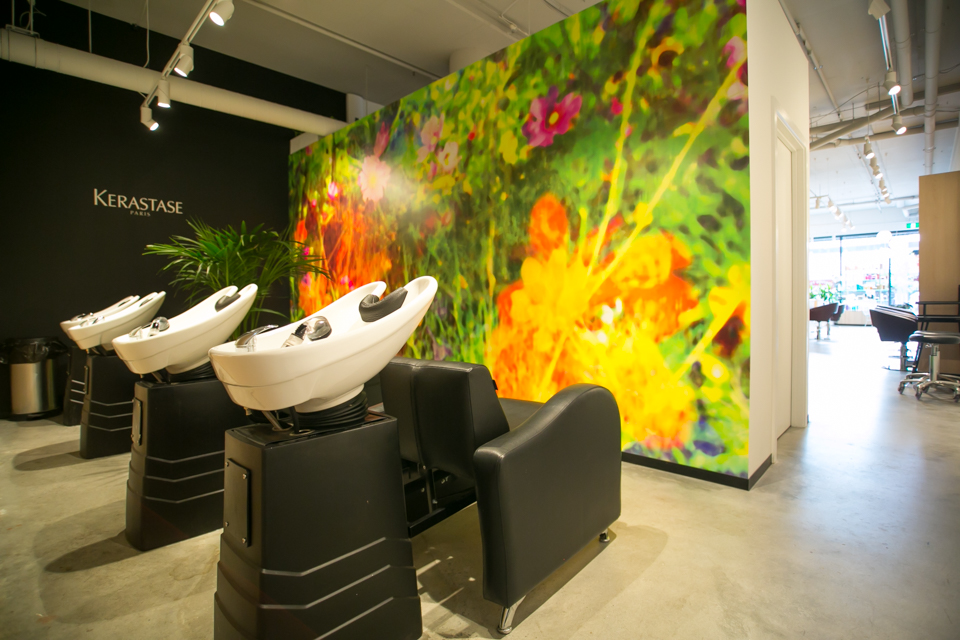 Dry and Tea - Hampton image 6