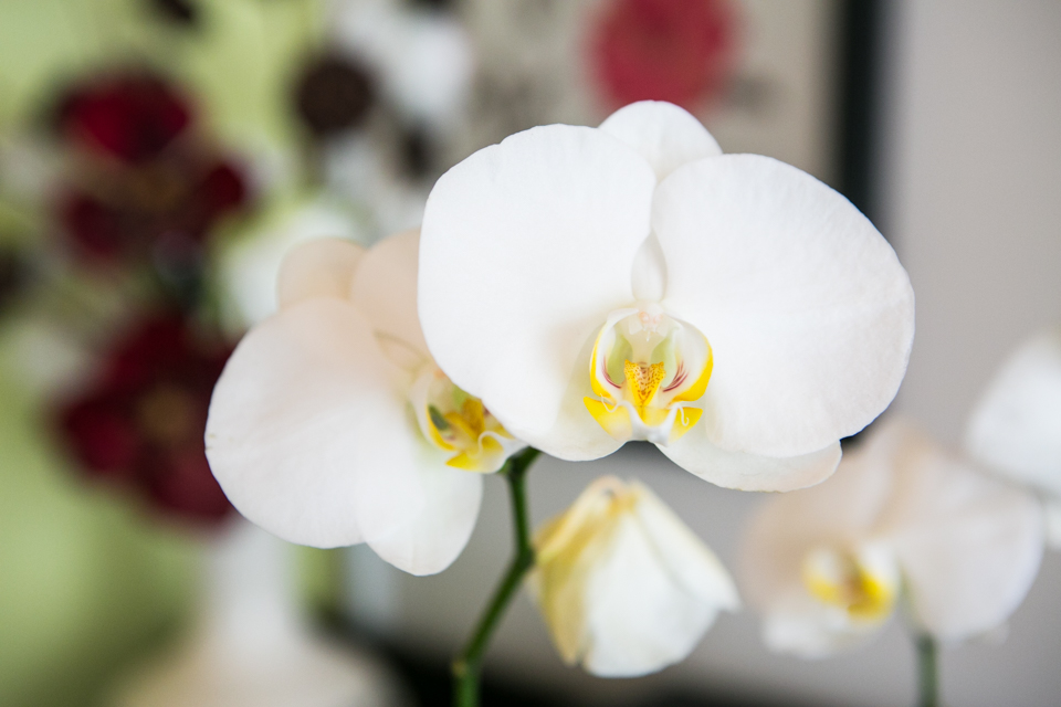 Evergreen Thai Massage - Flemington/Kensington image 7