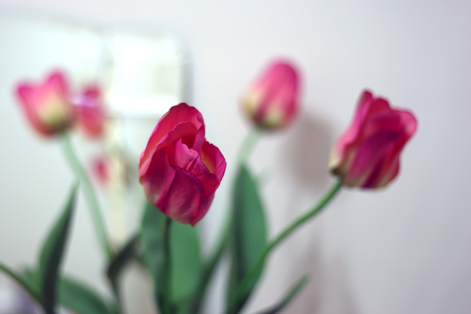 Heidi's Essence Of Beauty image 9