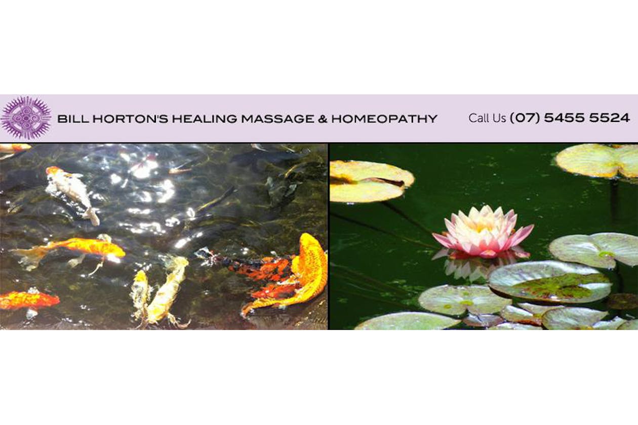 Bill Horton's Healing Massage and Homeopathy image 5