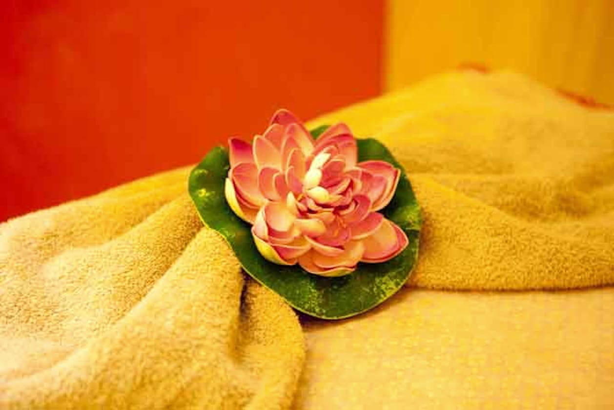 Best Thai Massage Therapists In Brookvale Bookwell
