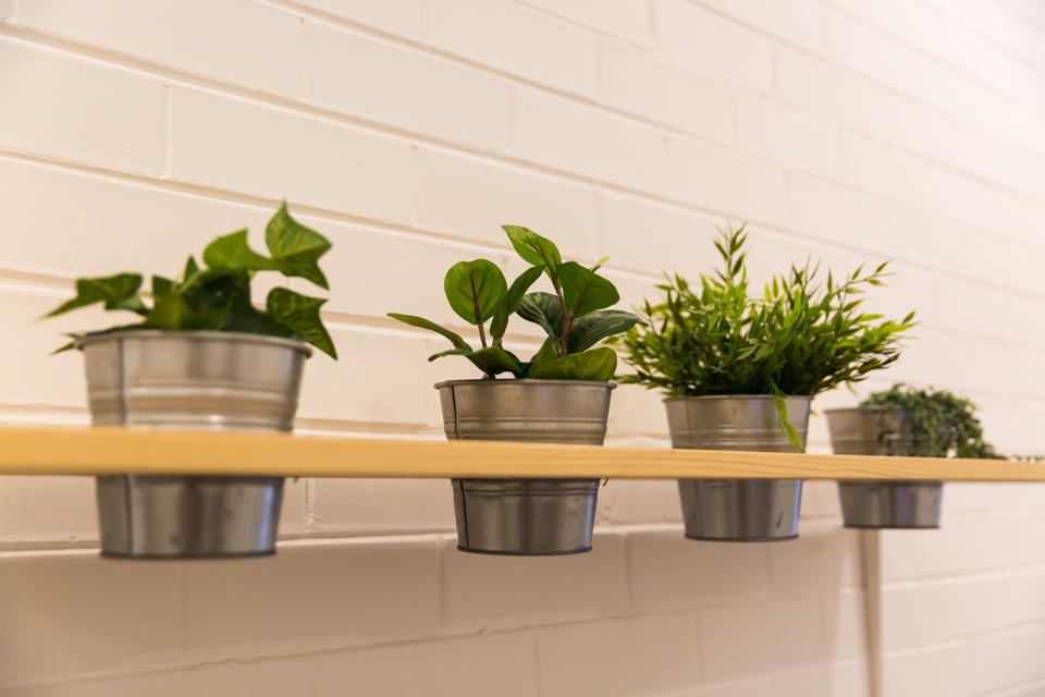 Elevation Floatation and Yoga image 13