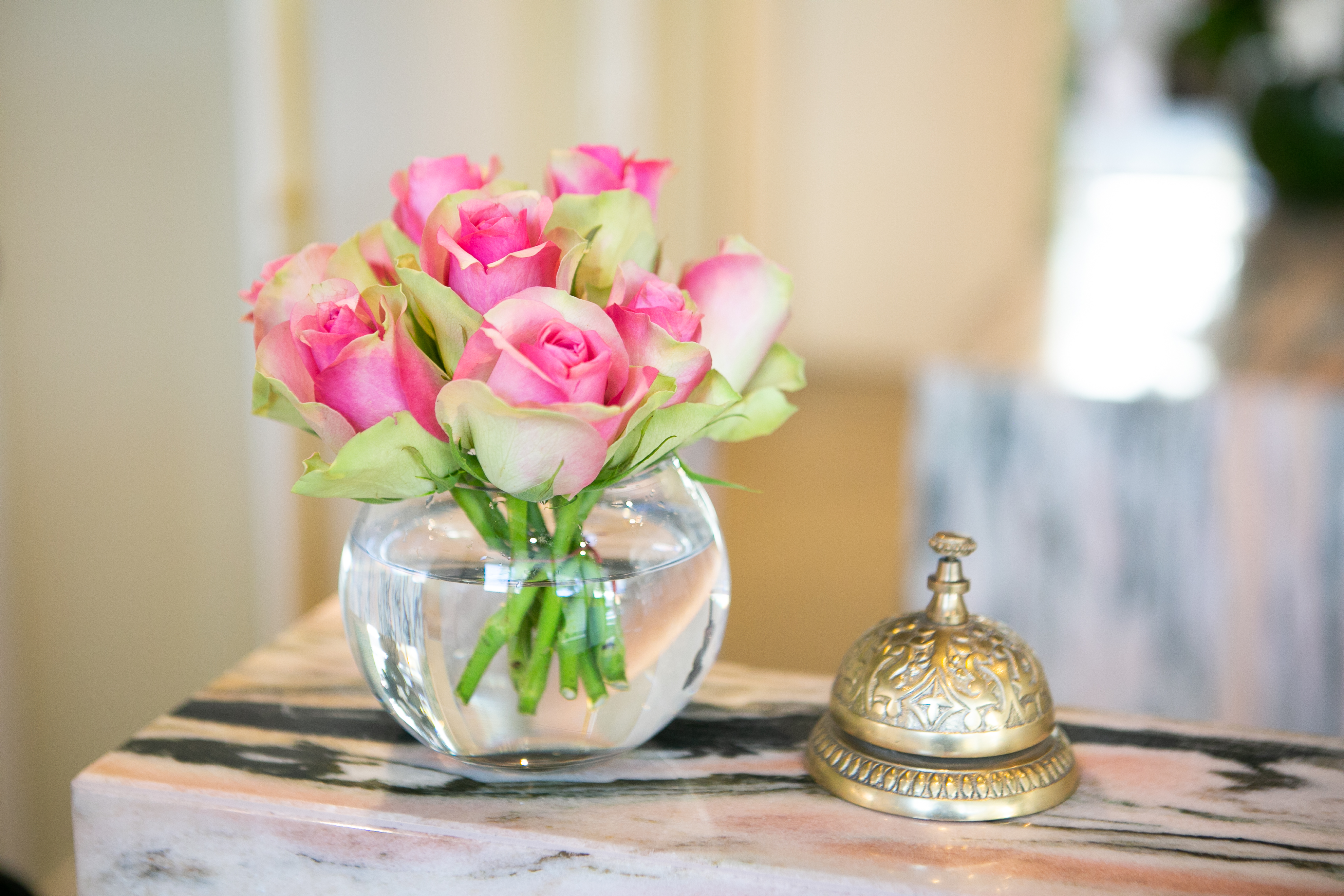 Claire Francoise Skin & Beauty image 11