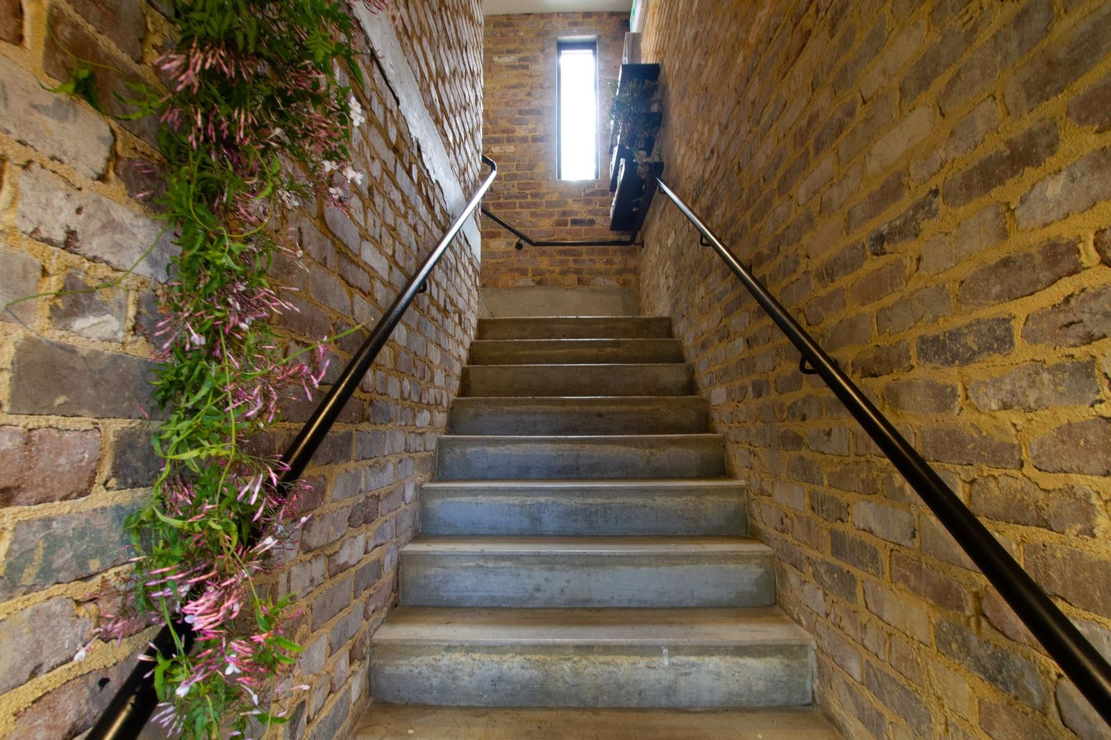 Marc & Maxwell image 8