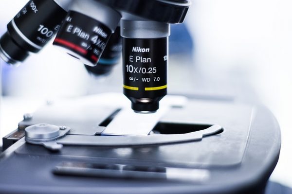 Scott Collins image 4