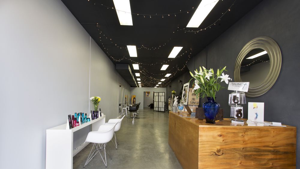 Urchin Studio1 image 2