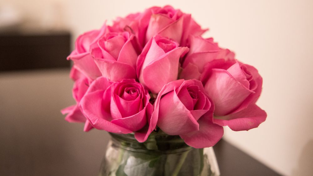 Natural Therapy Associates image 3