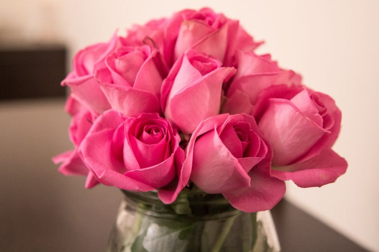 Natural Therapy Associates image 3