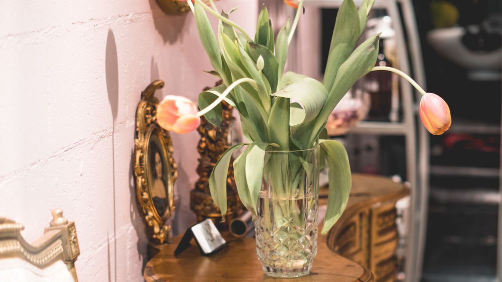 Peter Marx Hair Salon image 4