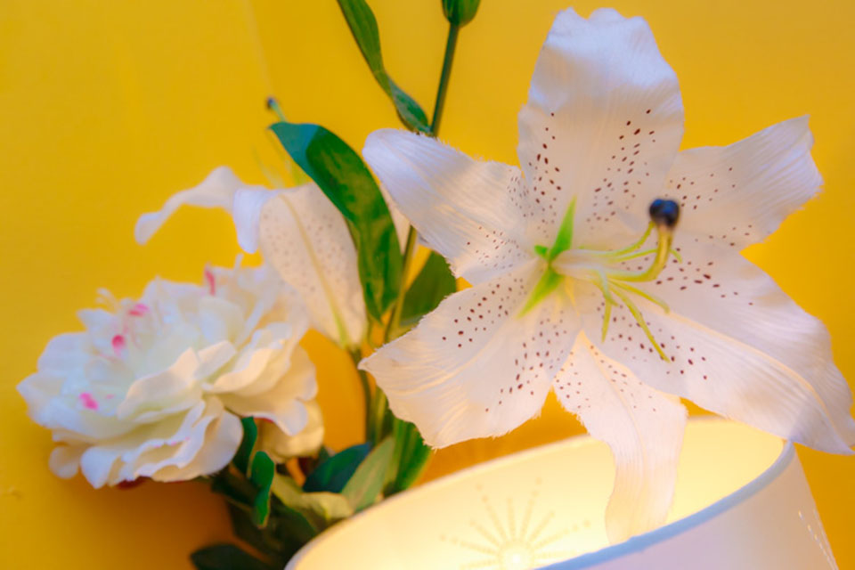 Siam Princess Traditional Thai Massage & Therapy - Broadway image 9