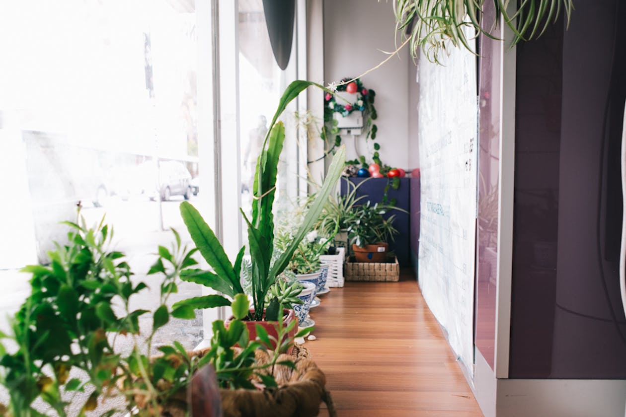 ET Chinese Massage - South image 4