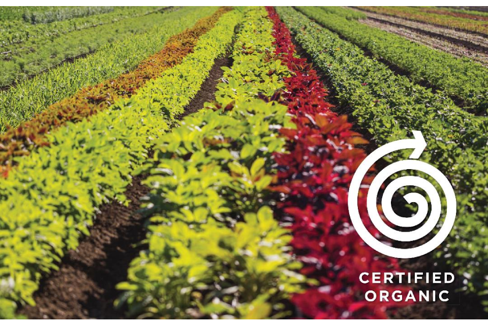 Westgarth Beauty image 10