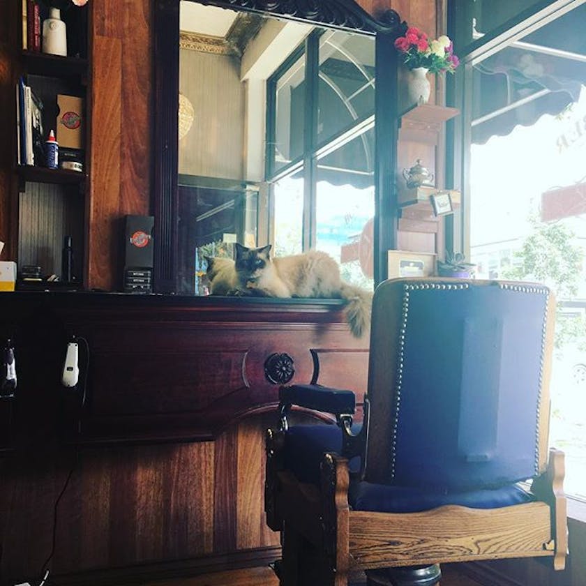 Bondi Barber Lounge image 3