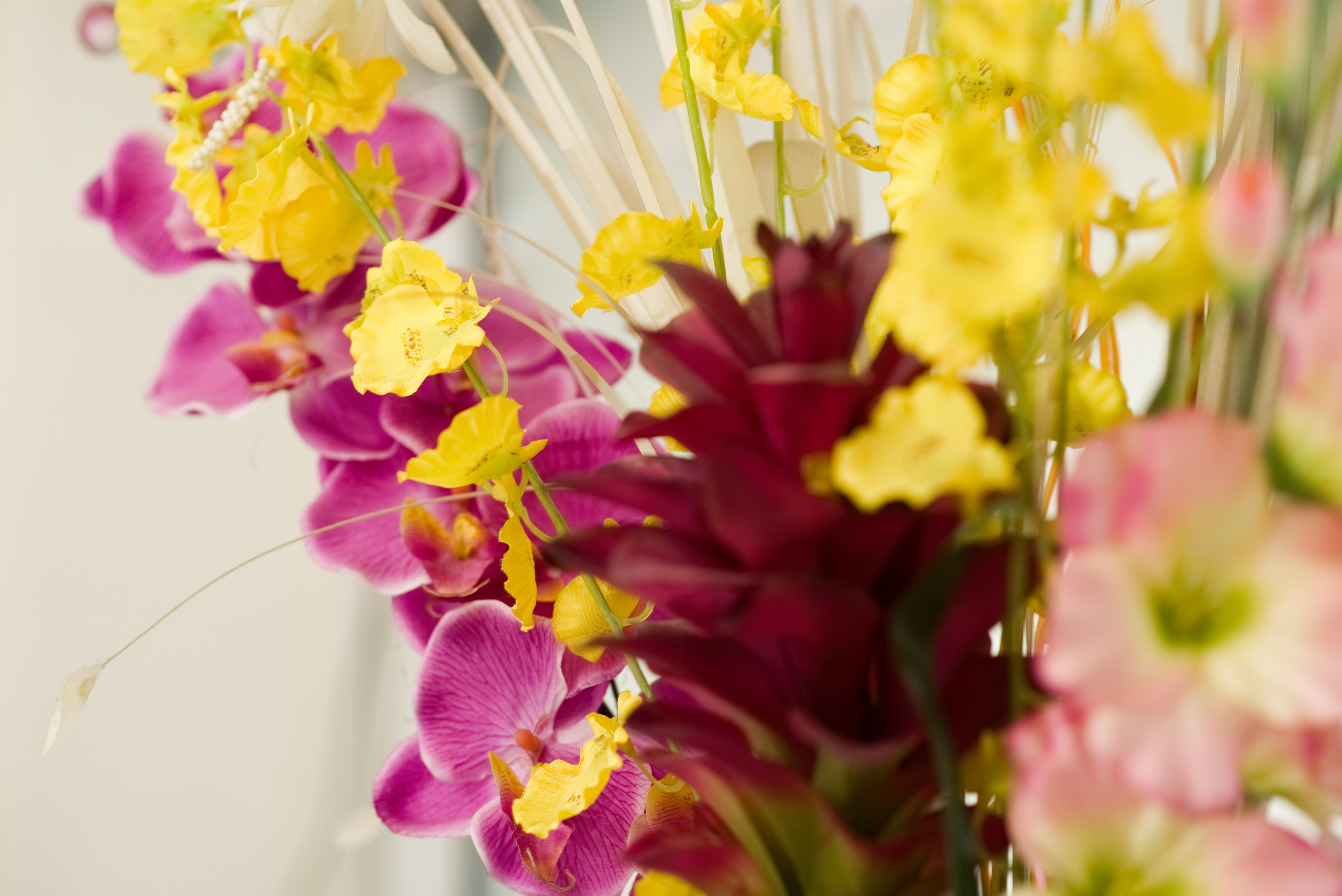 Red Lotus Massage - Cheltenham image 13