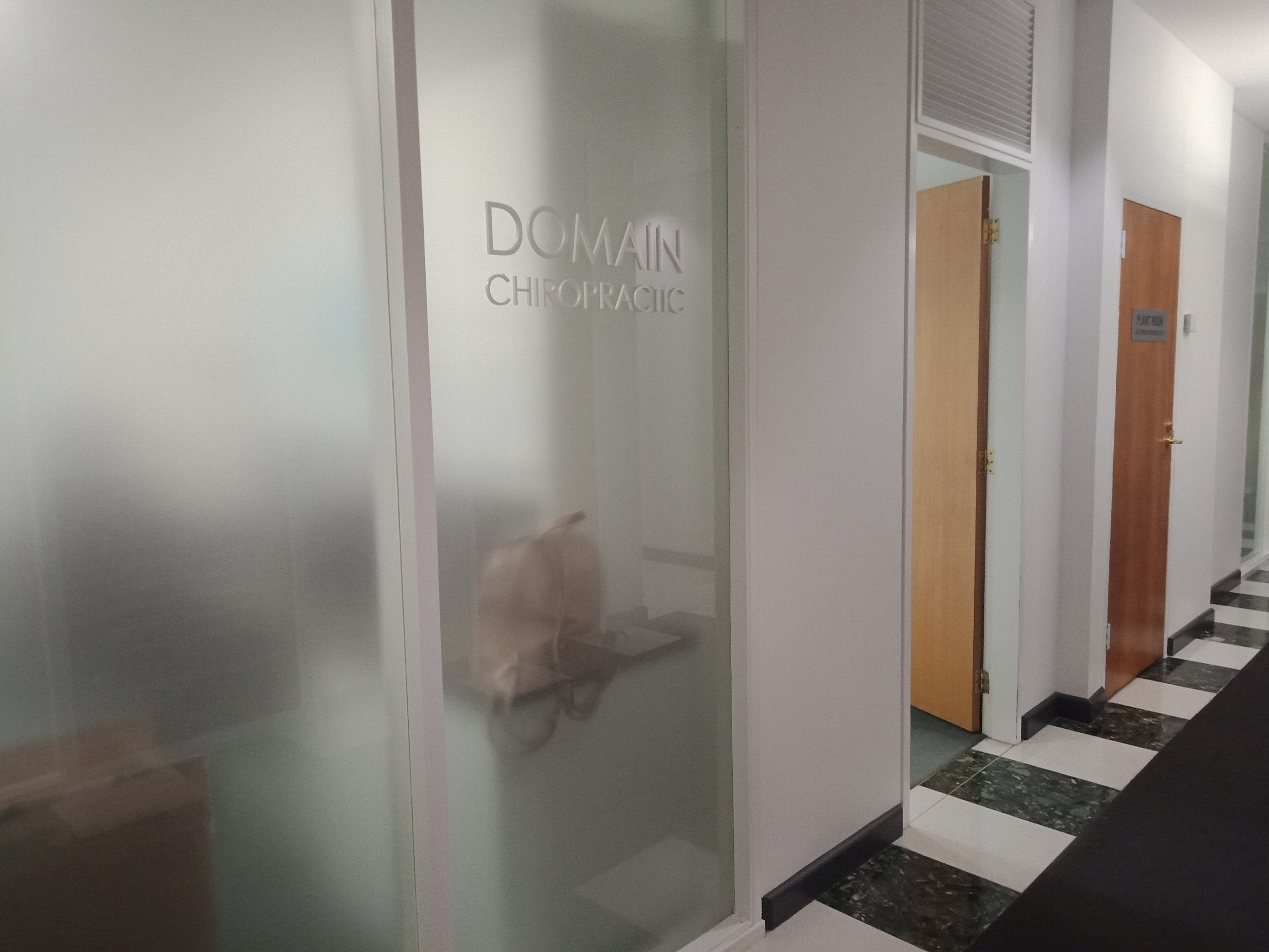 Domain Chiropractic image 2