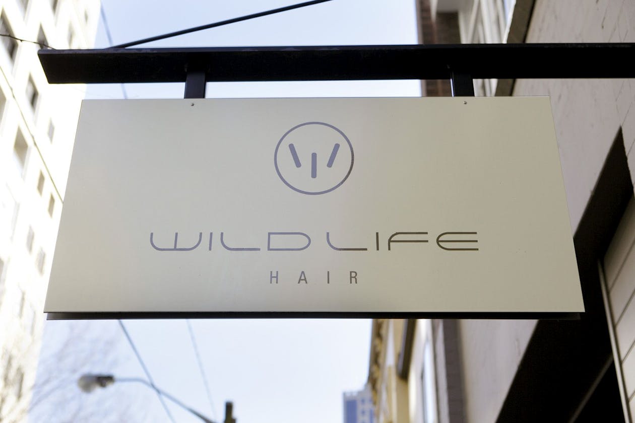 Wild Life Hair - Sogo image 4