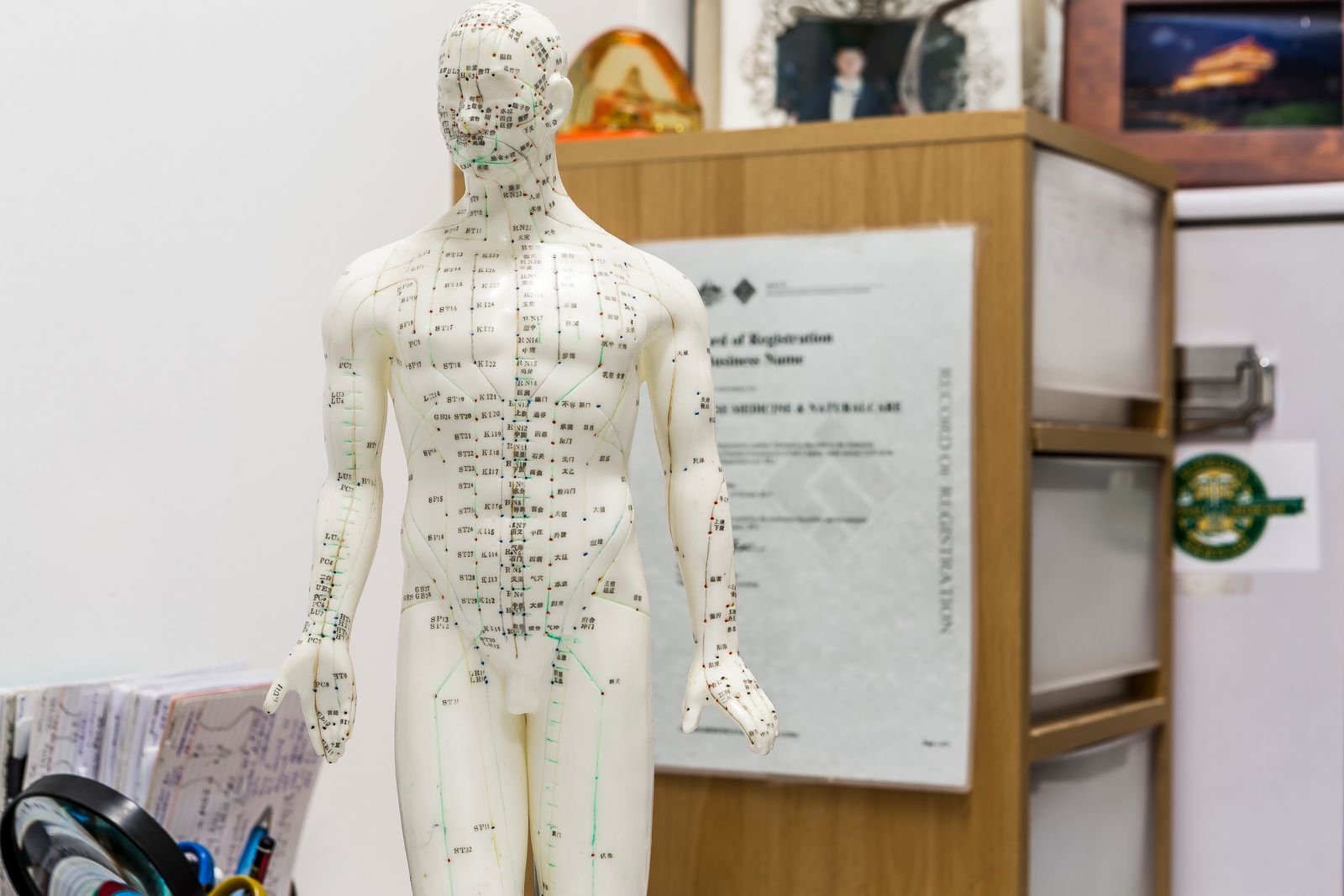 Chinese Medicine & Naturalcare Clinic image 8