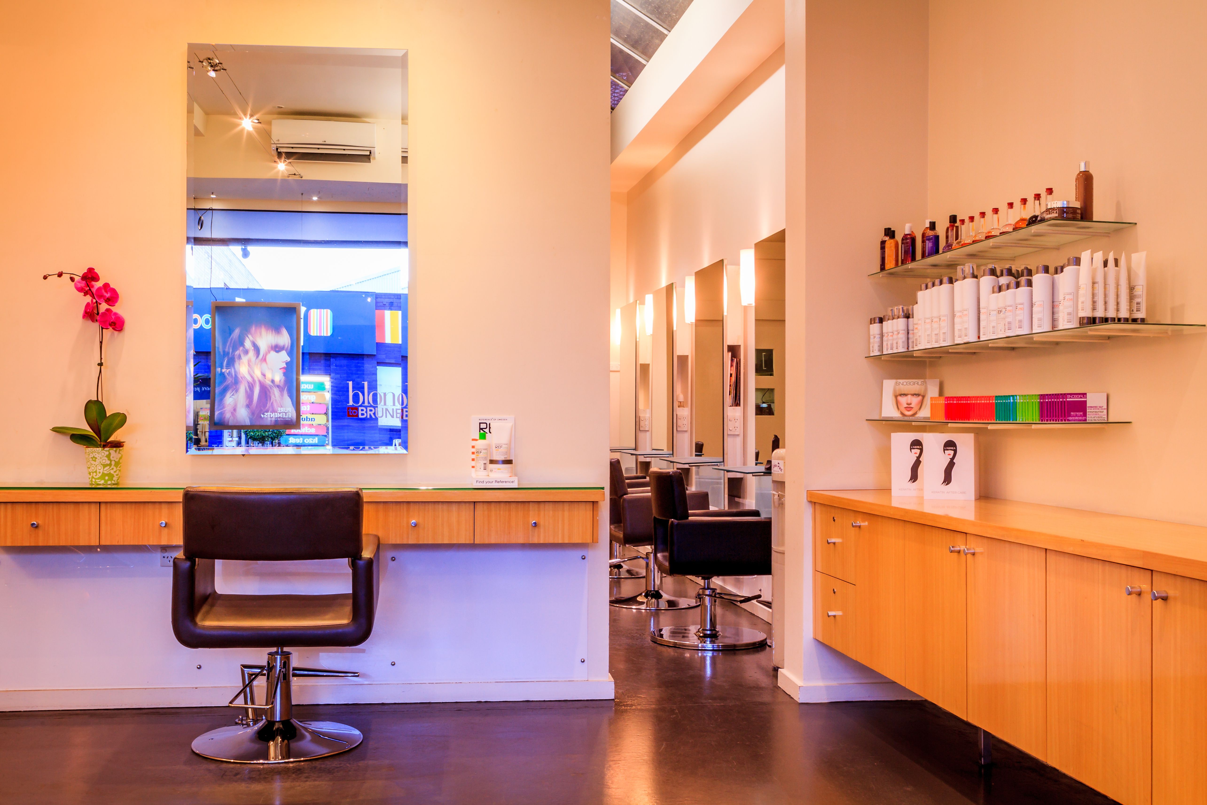 Blondes To Brunettes image 3