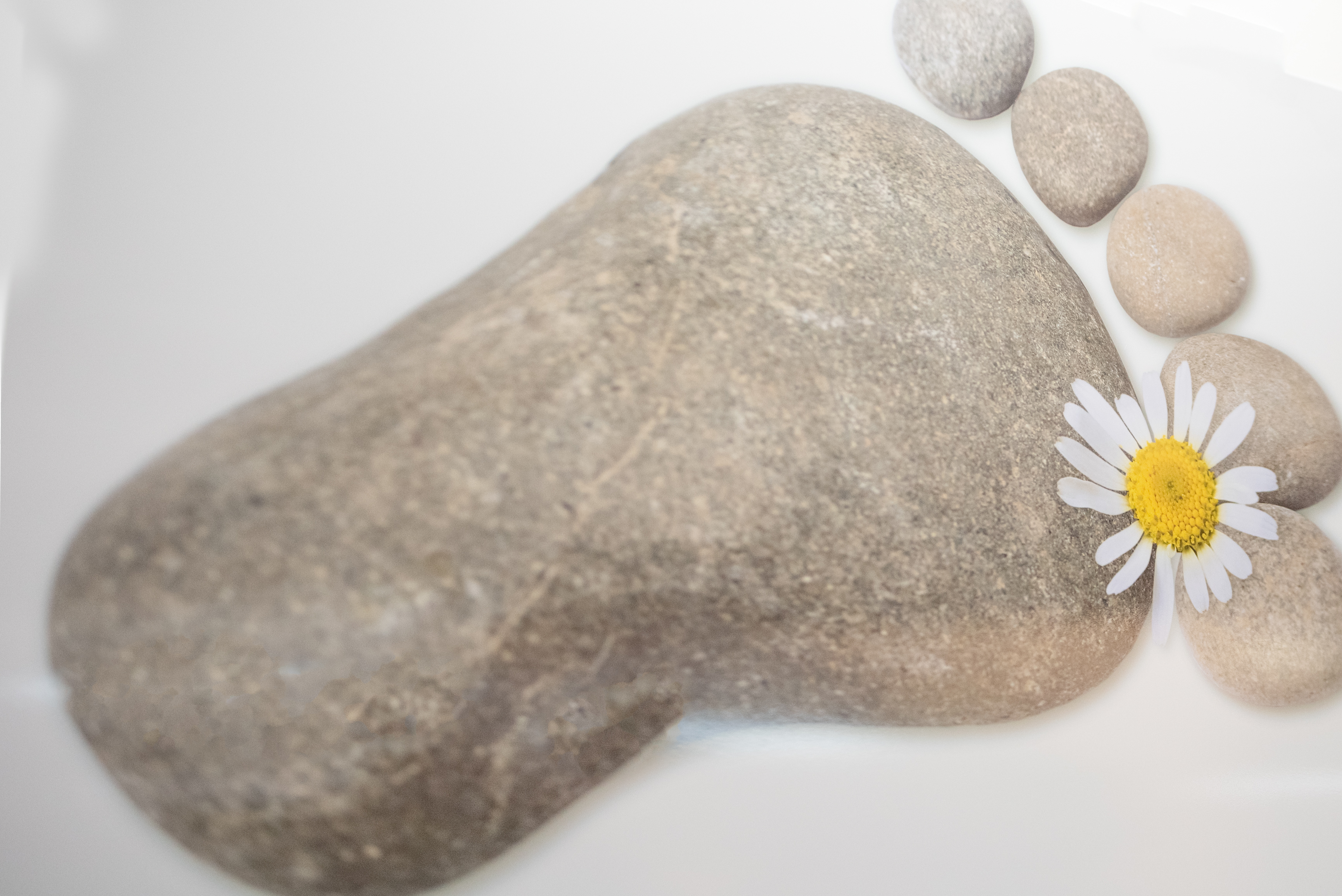 Adora Nail Spa image 6