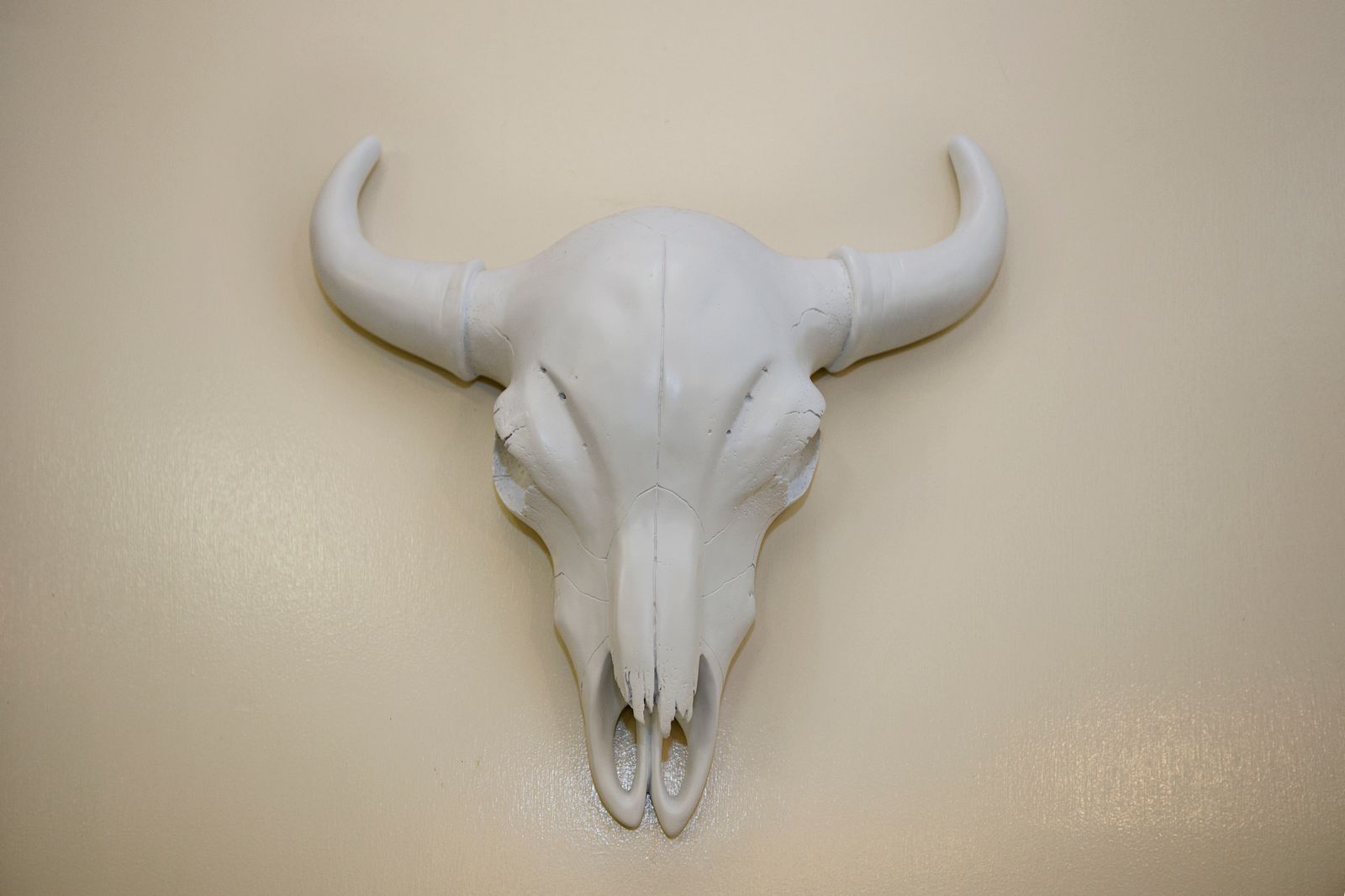 Harris & Co. image 11