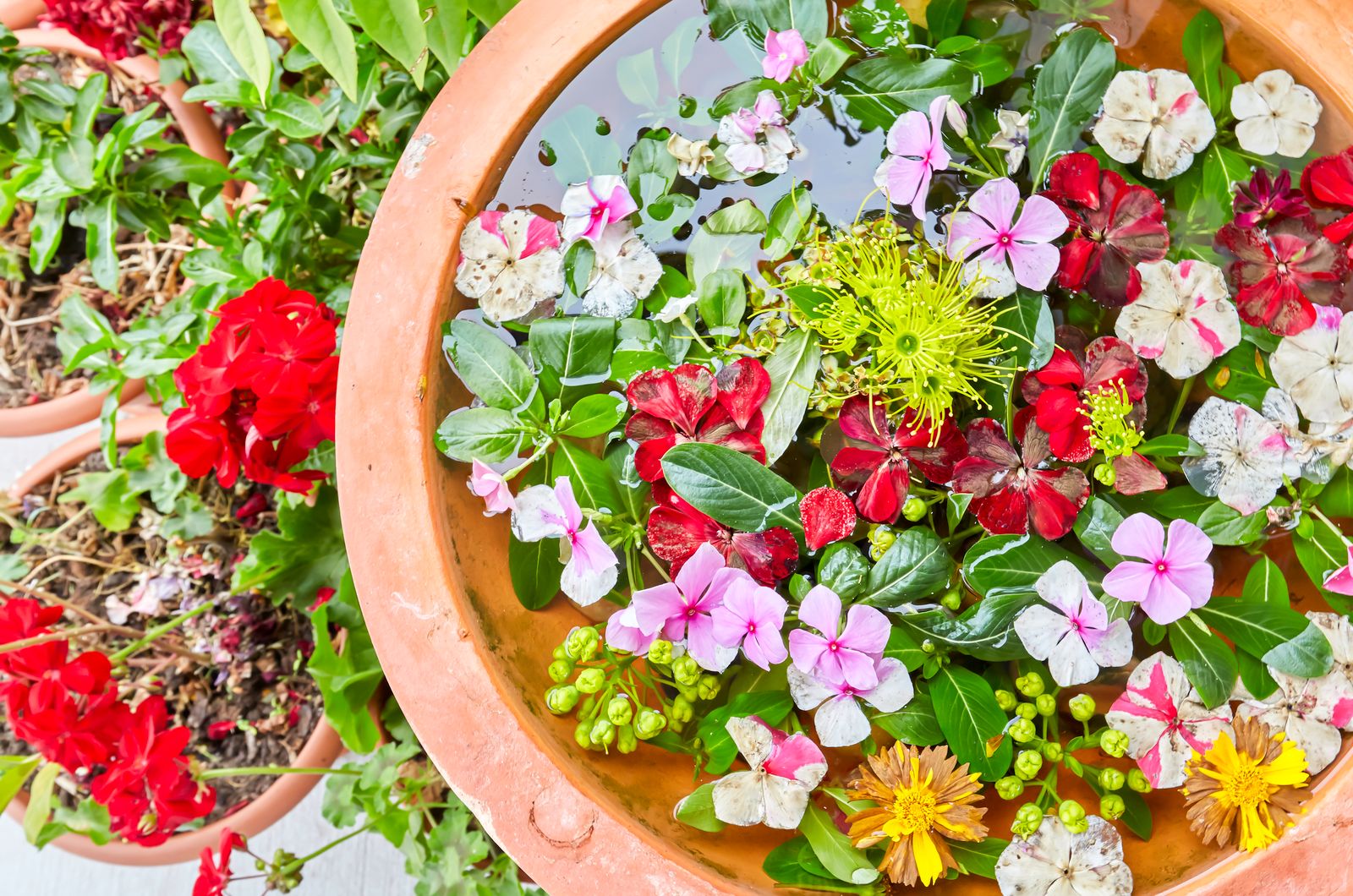 Siam Spa 159 image 15