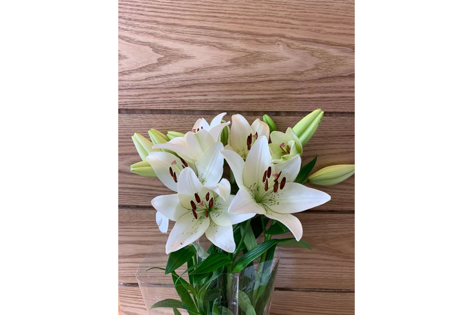 ET Chinese Massage - North image 8