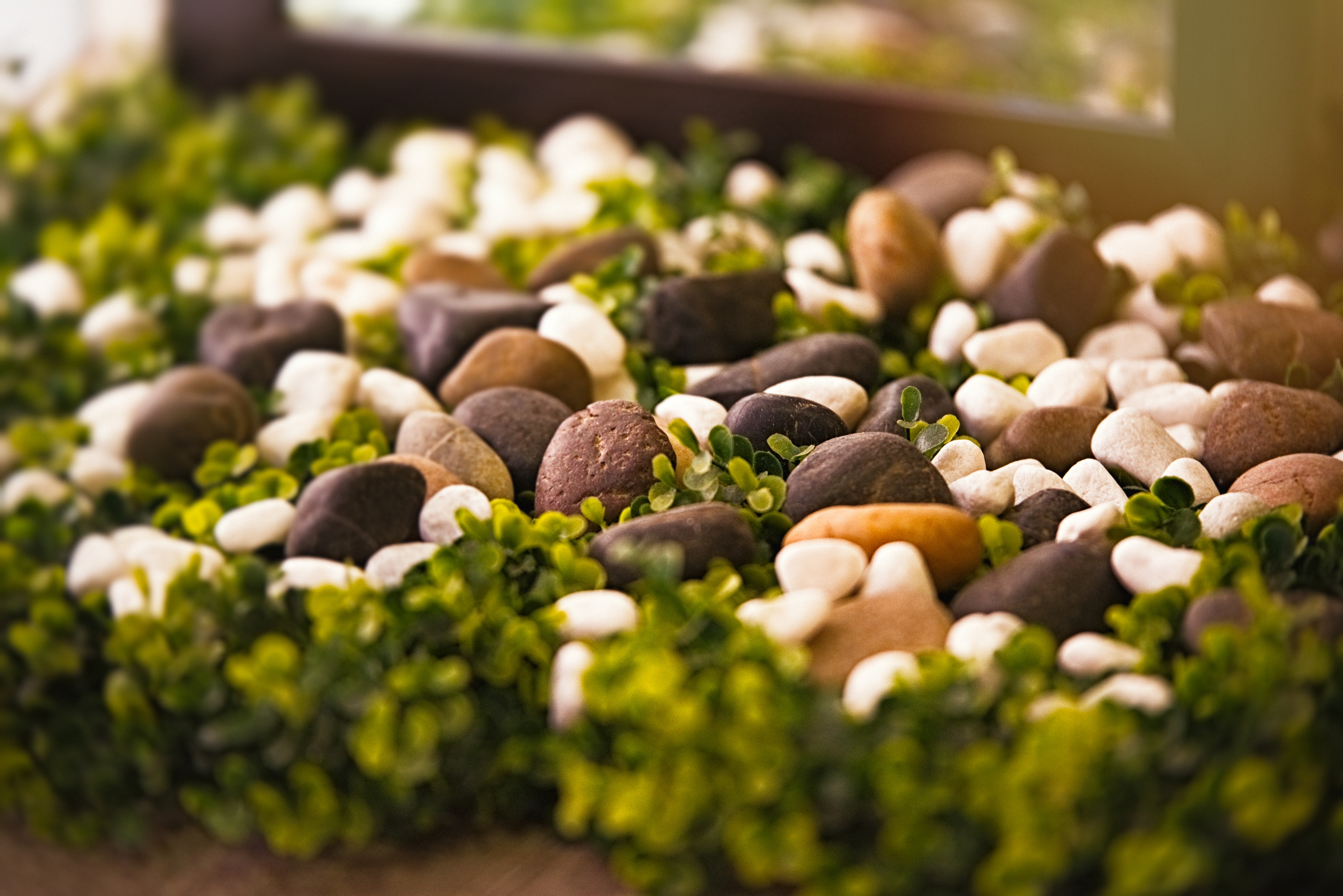 Kornkanok Thai Massage image 14