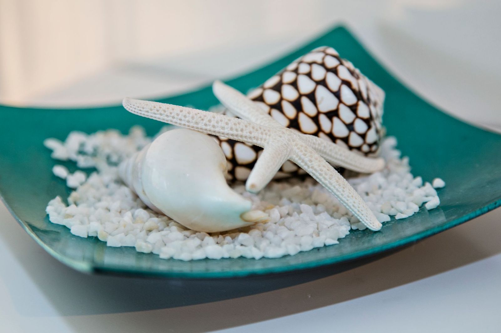 Beauty By The Beach image 11