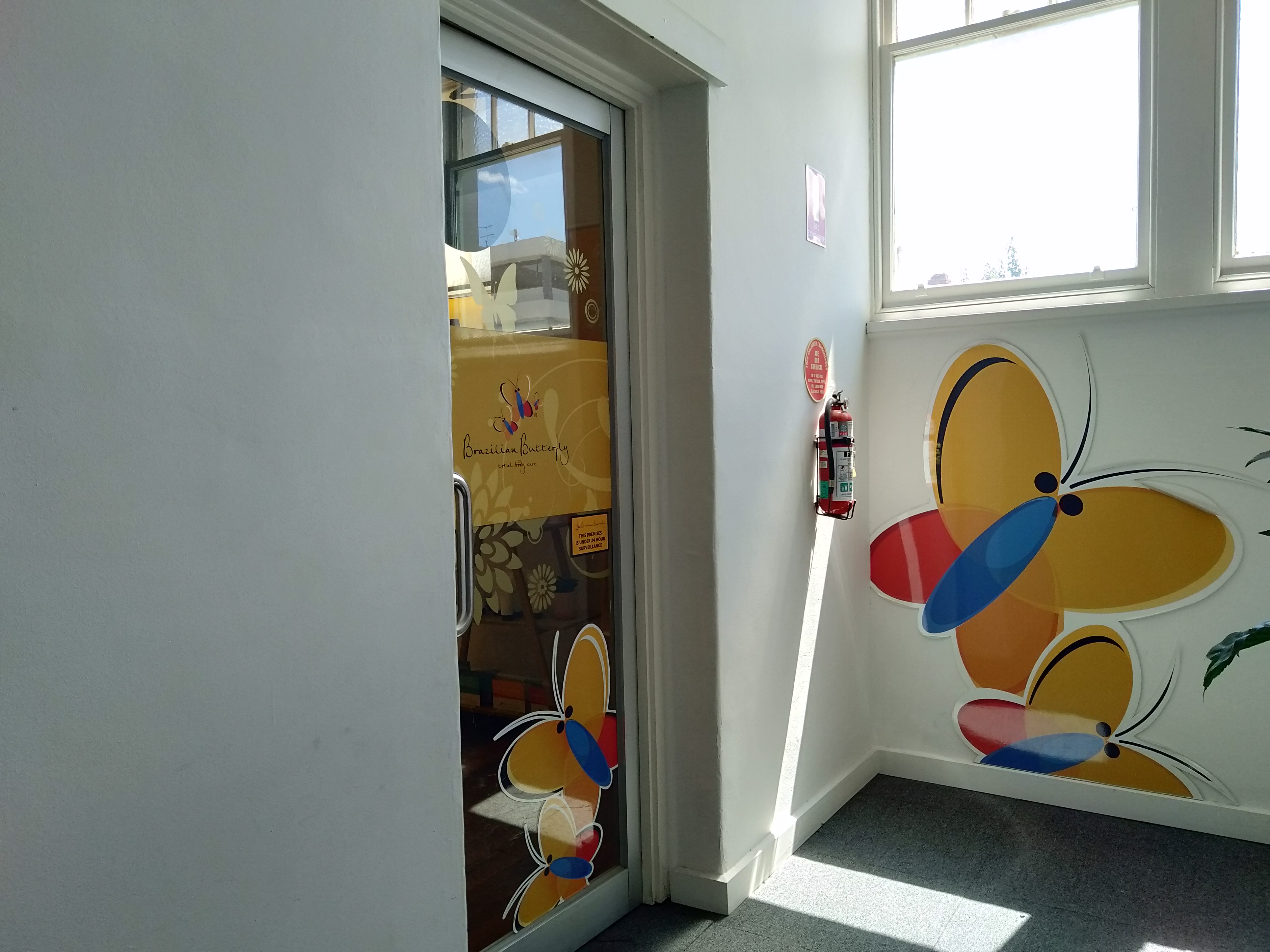 Brazilian Butterfly - Camberwell image 2