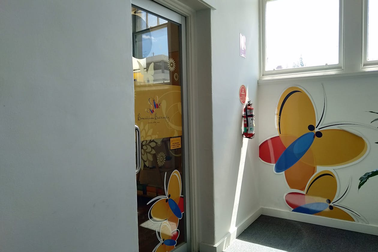 Brazilian Butterfly - Camberwell image 2