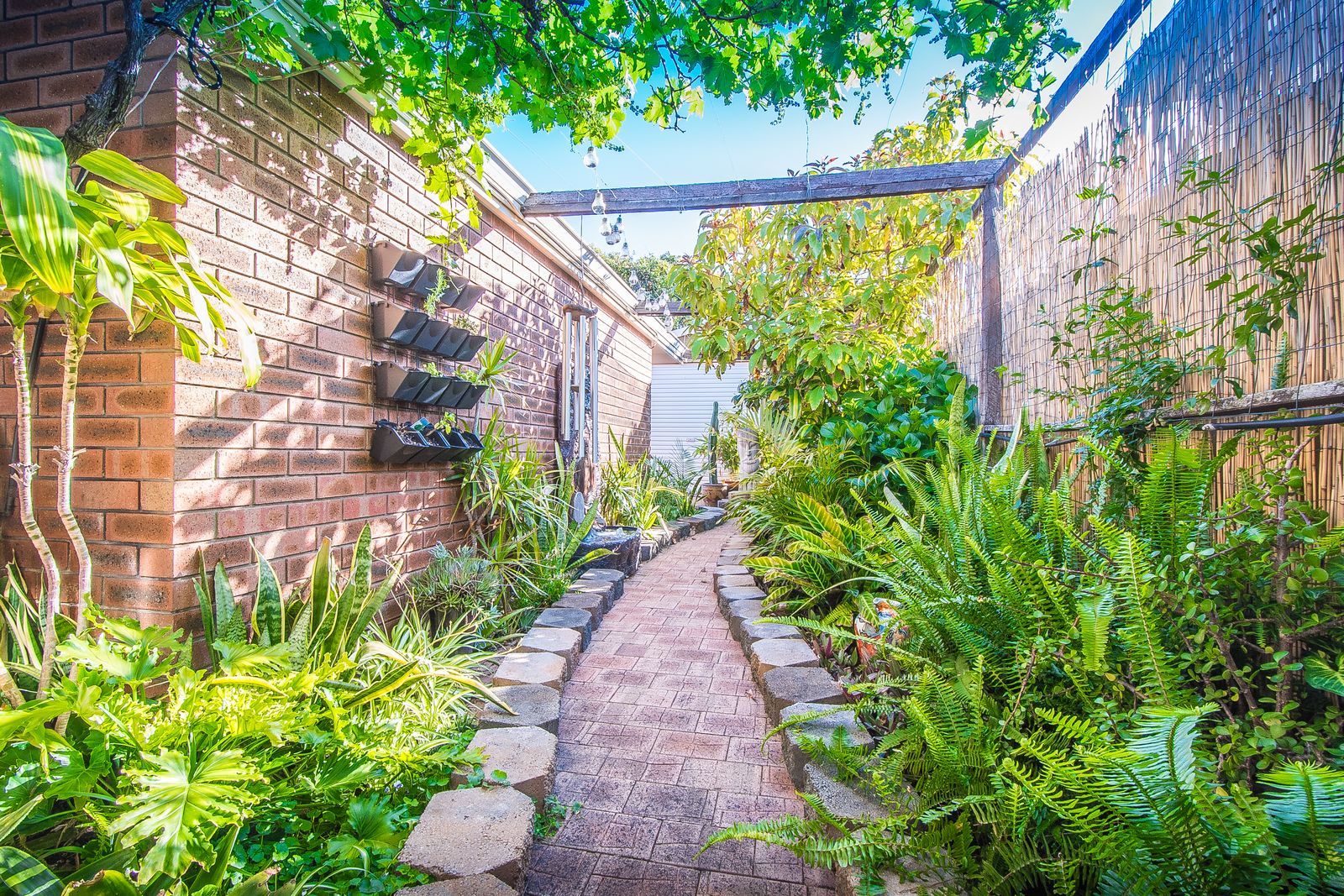 Sonia Exclusive image 14