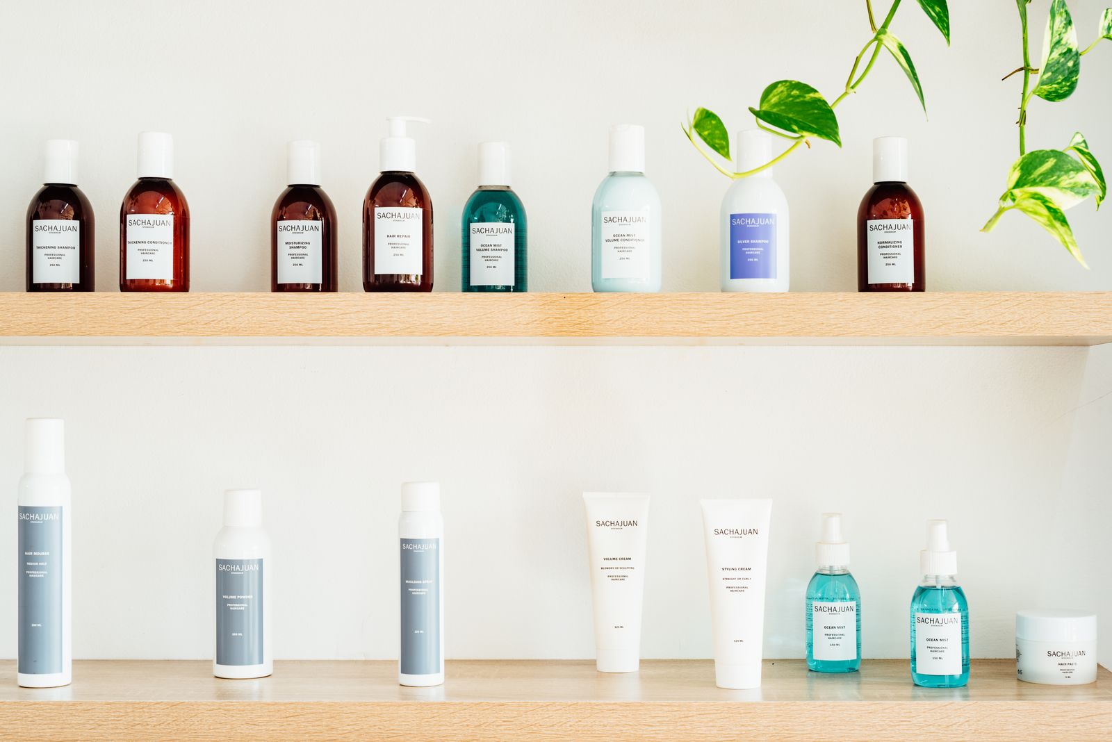 Lit & Scott image 11