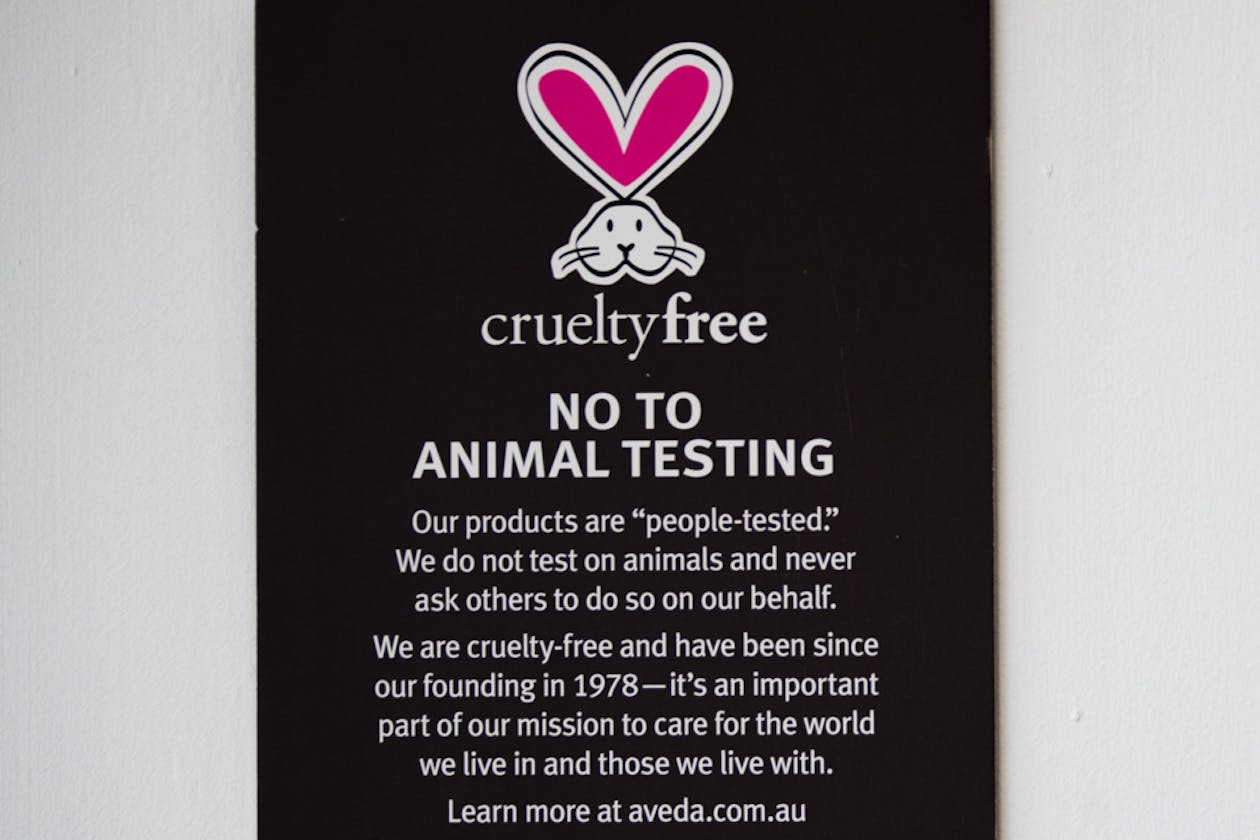 Fez Concept Salon image 12