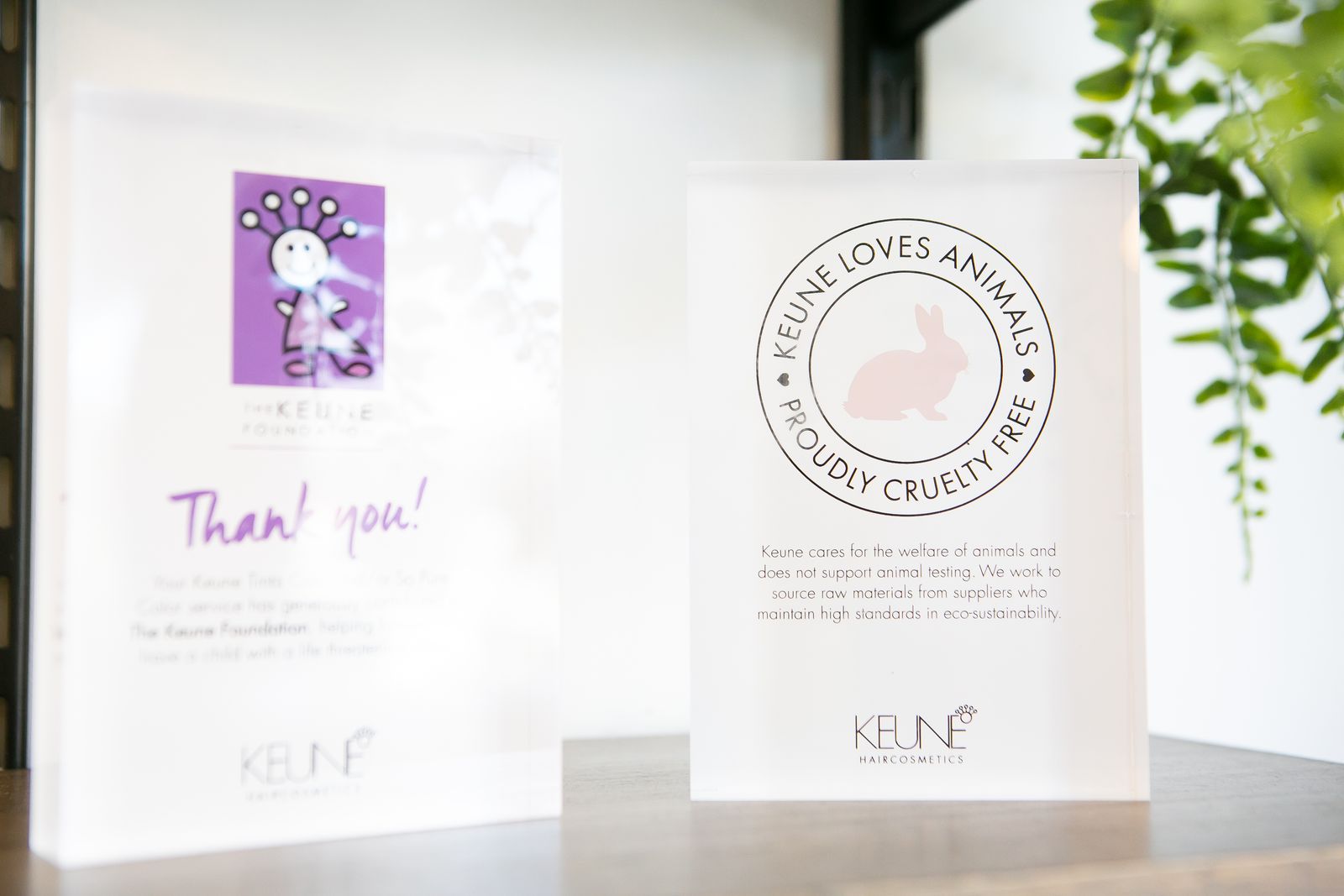 Wild Hare Salon image 10