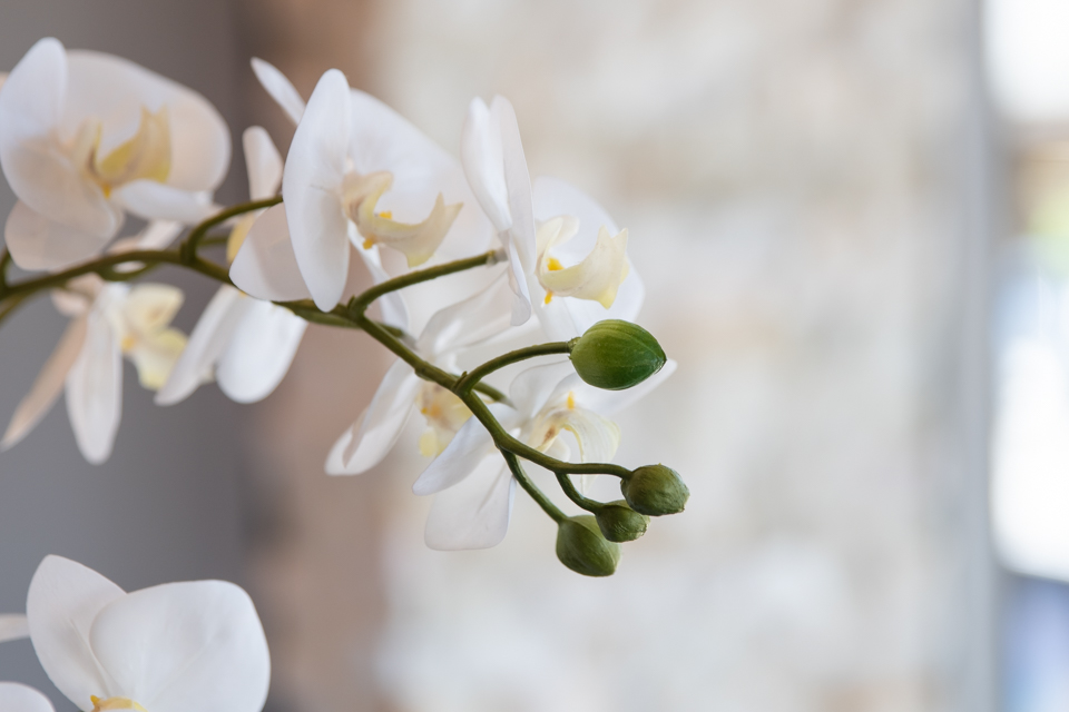 Aesthetics & Co image 9