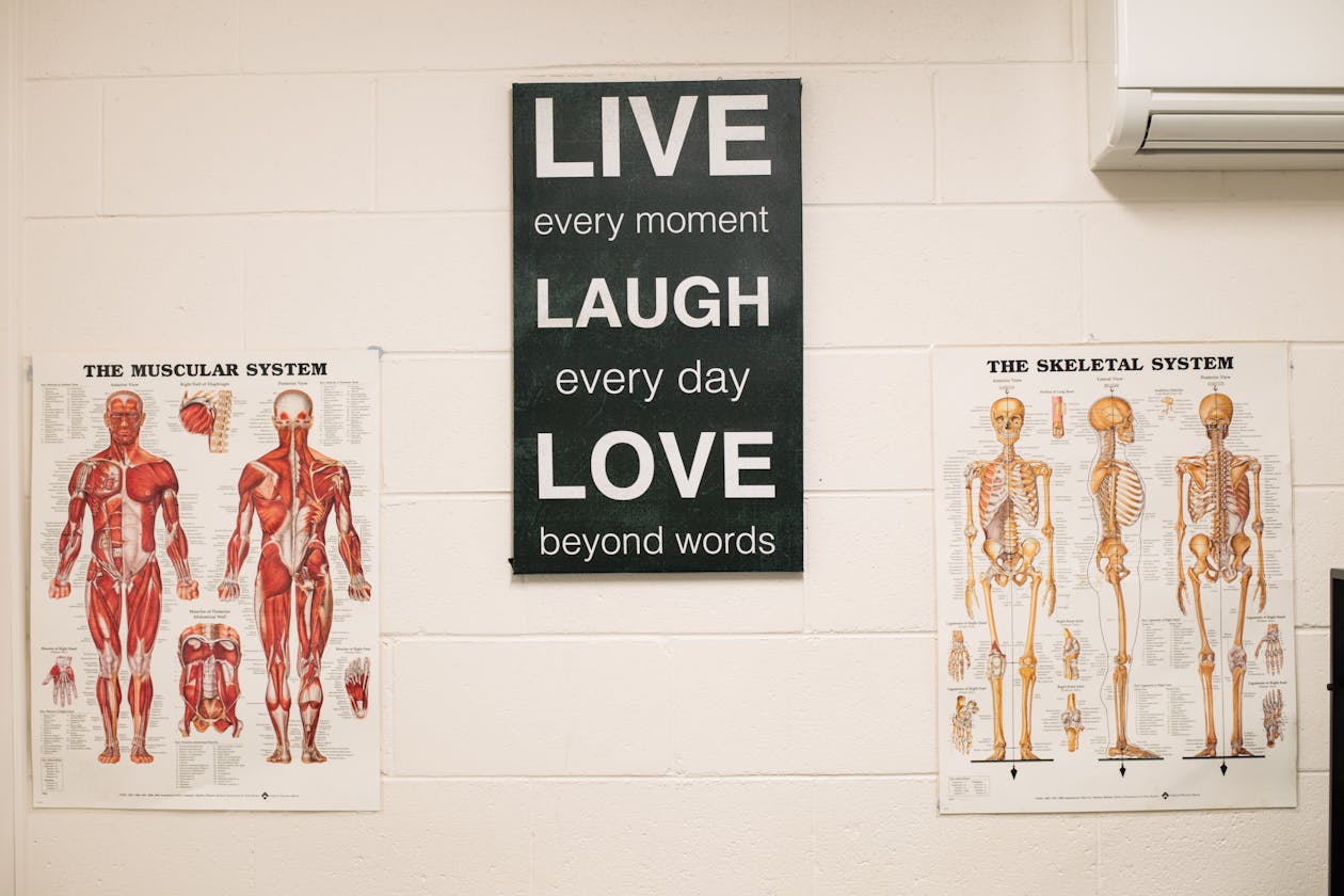 Massage for Wellness image 11