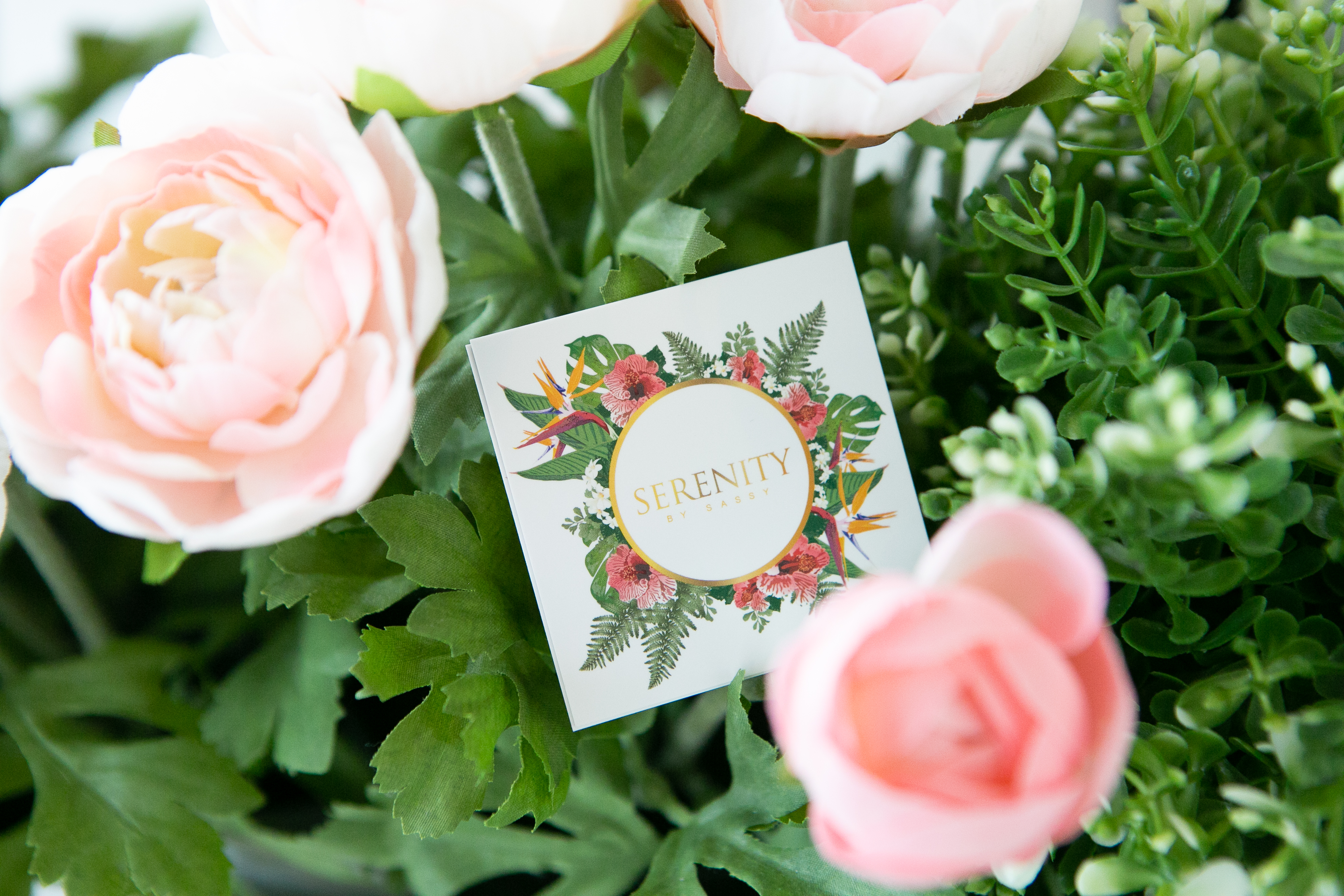 Serenity By Sassy image 11