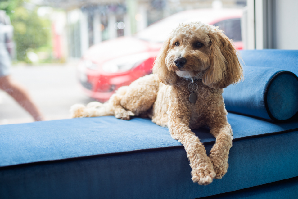The Blow Dry Room image 5