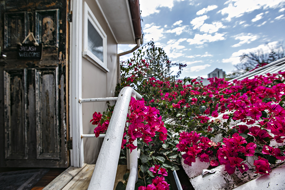 Jaylash Beauty - Eyelash Extension Artistry image 17