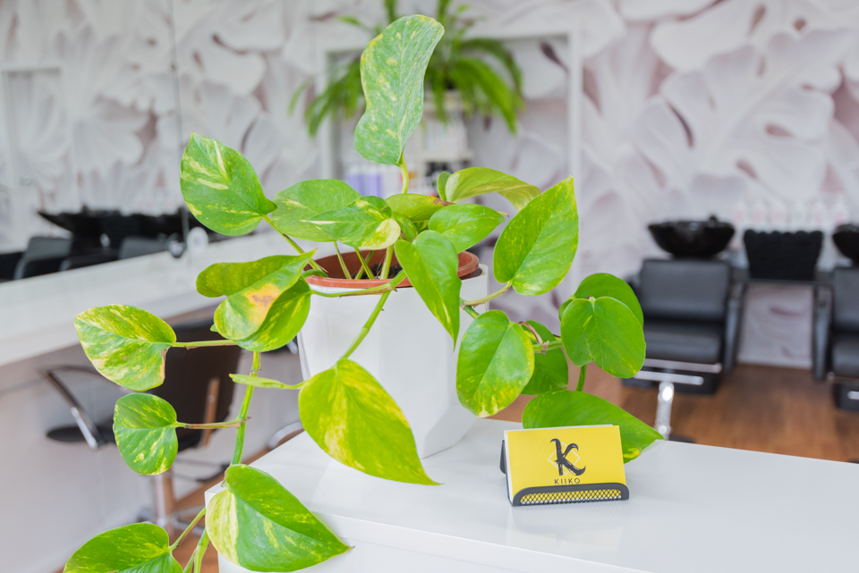 Kiiko Hair Studio image 6