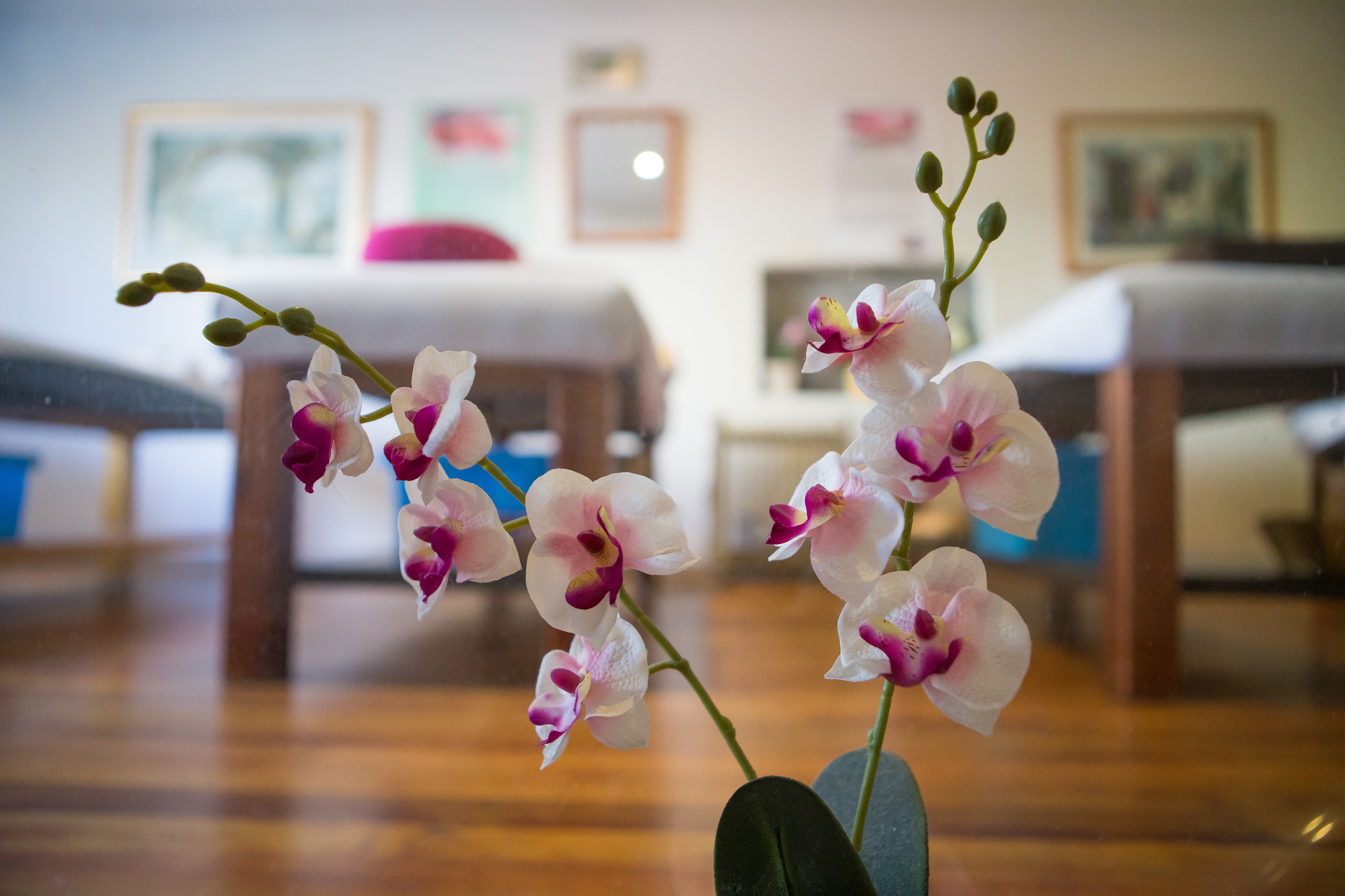 Shen Chinese Medicine - South Melbourne Market image 6