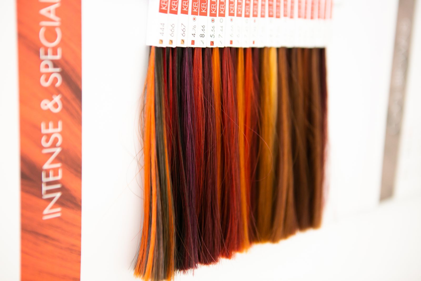 Wild Hare Salon image 12