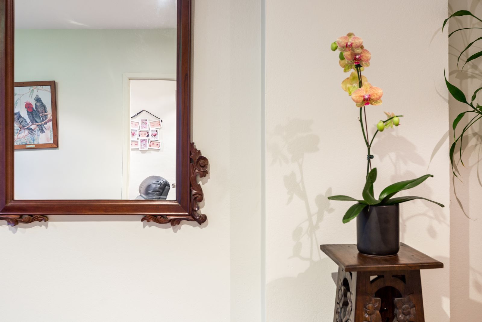 KittyKatLashes image 8